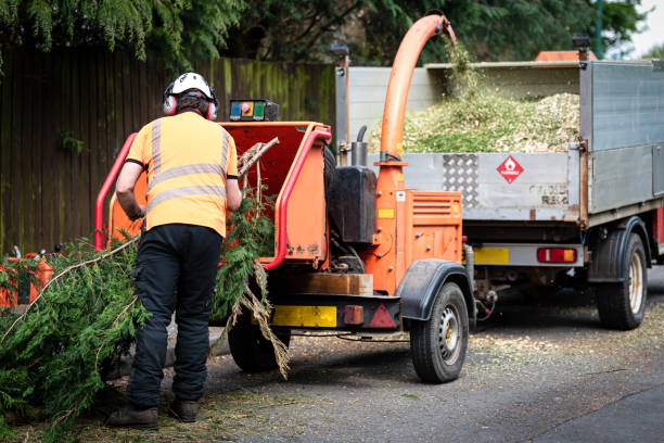 Best Affordable Tree Cutting  in Bunk Foss, WA